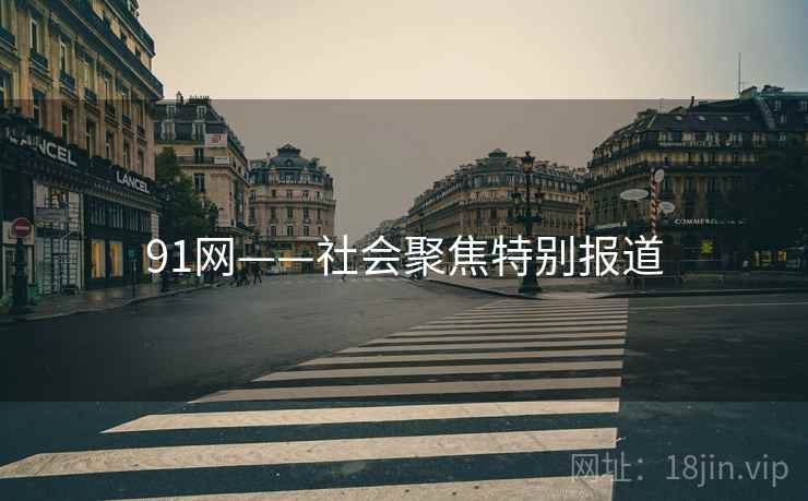 91网——社会聚焦特别报道