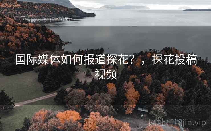 国际媒体如何报道探花？，探花投稿视频