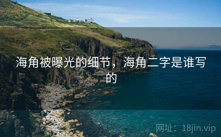 海角被曝光的细节，海角二字是谁写的