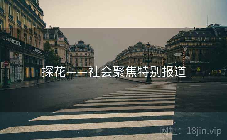 探花——社会聚焦特别报道