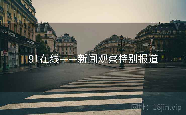 91在线——新闻观察特别报道
