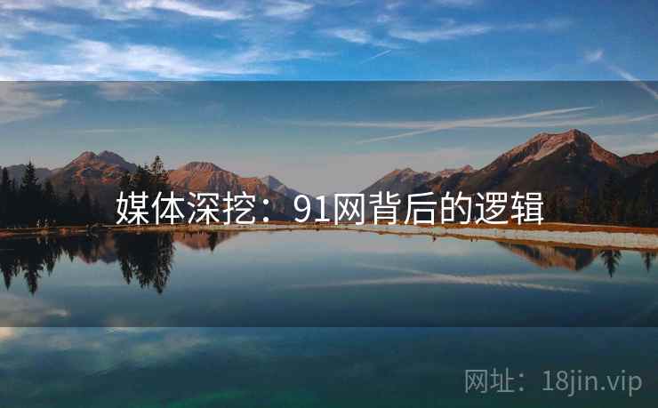 媒体深挖：91网背后的逻辑