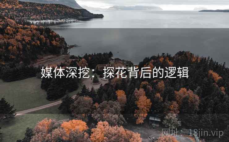 媒体深挖：探花背后的逻辑