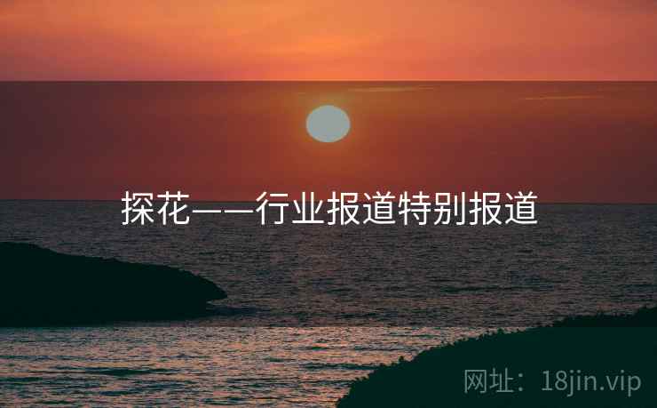 探花——行业报道特别报道