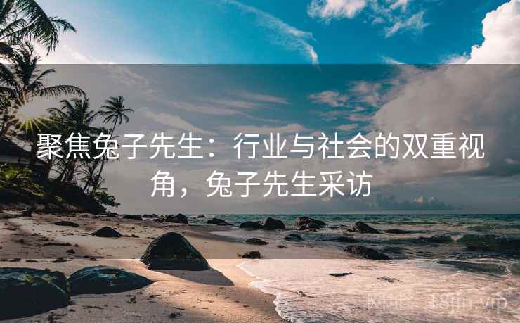 聚焦兔子先生：行业与社会的双重视角，兔子先生采访