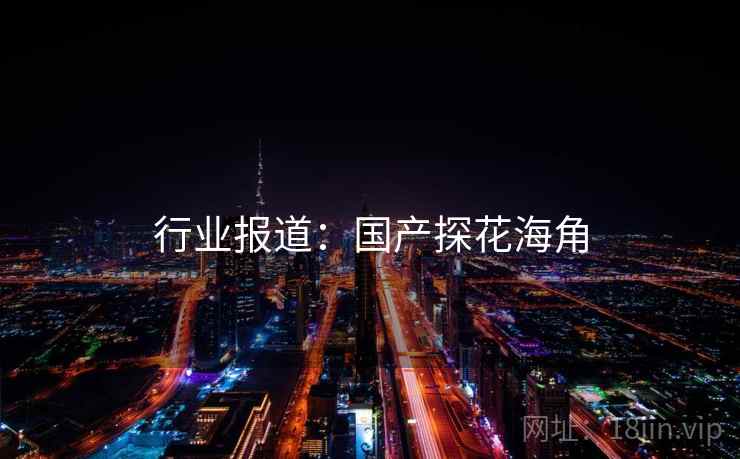 行业报道：国产探花海角