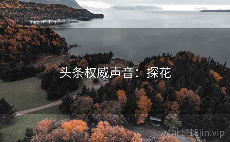 头条权威声音：探花