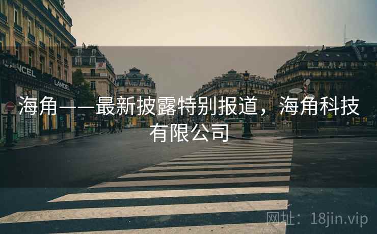 海角——最新披露特别报道，海角科技有限公司