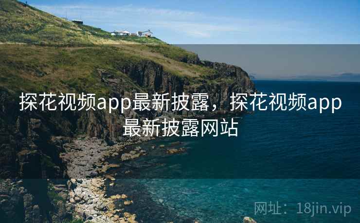 探花视频app最新披露，探花视频app最新披露网站