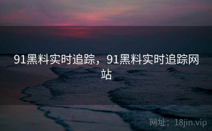 91黑料实时追踪，91黑料实时追踪网站