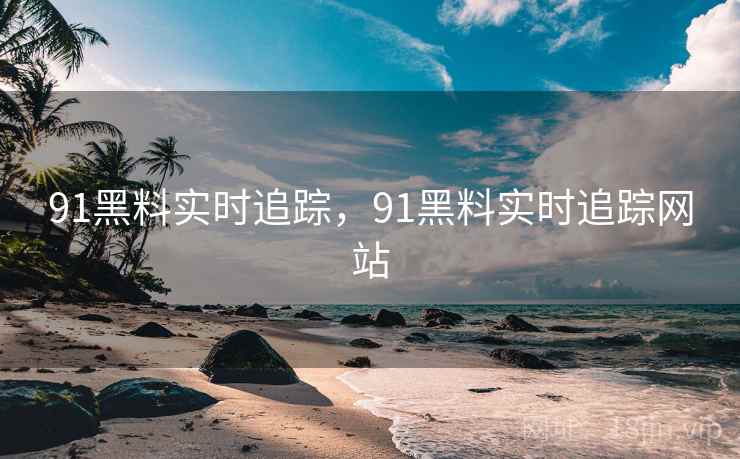 91黑料实时追踪，91黑料实时追踪网站