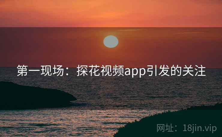 第一现场：探花视频app引发的关注