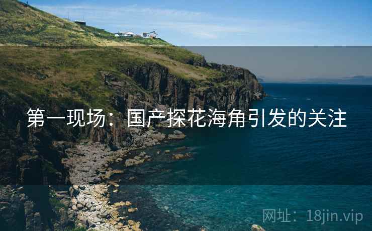 第一现场：国产探花海角引发的关注