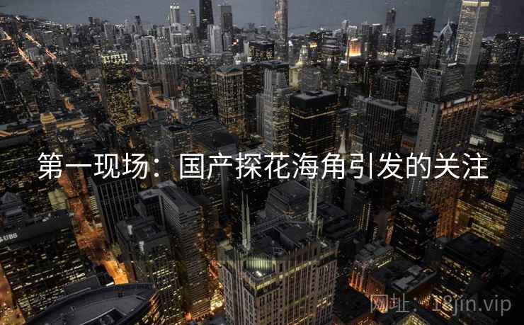 第一现场：国产探花海角引发的关注