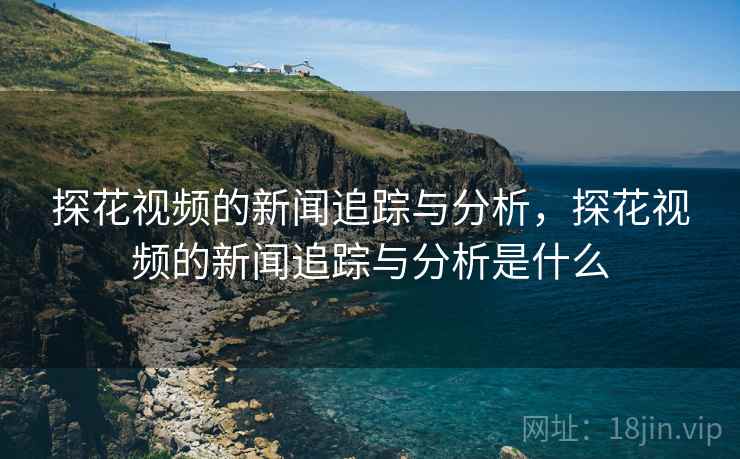 探花视频的新闻追踪与分析，探花视频的新闻追踪与分析是什么