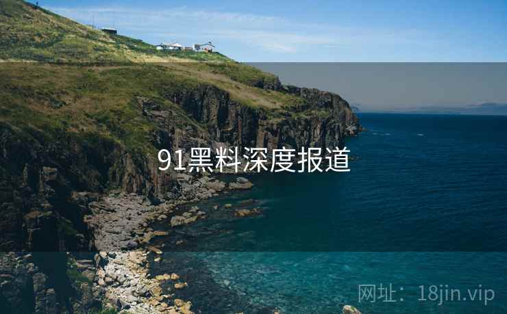 91黑料深度报道