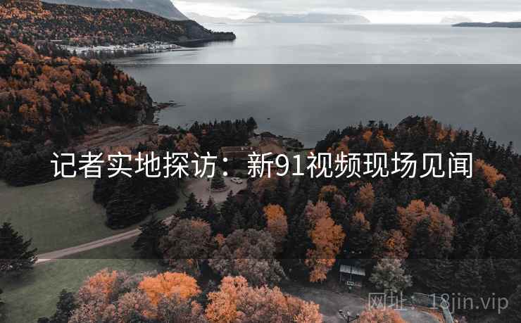 记者实地探访：新91视频现场见闻