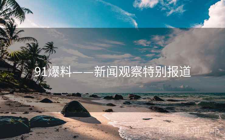 91爆料——新闻观察特别报道 91爆料——新闻观察特别报道