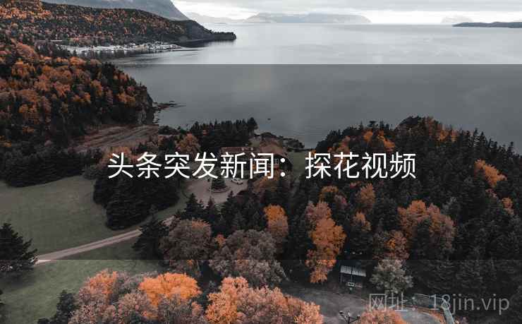 头条突发新闻:探花视频