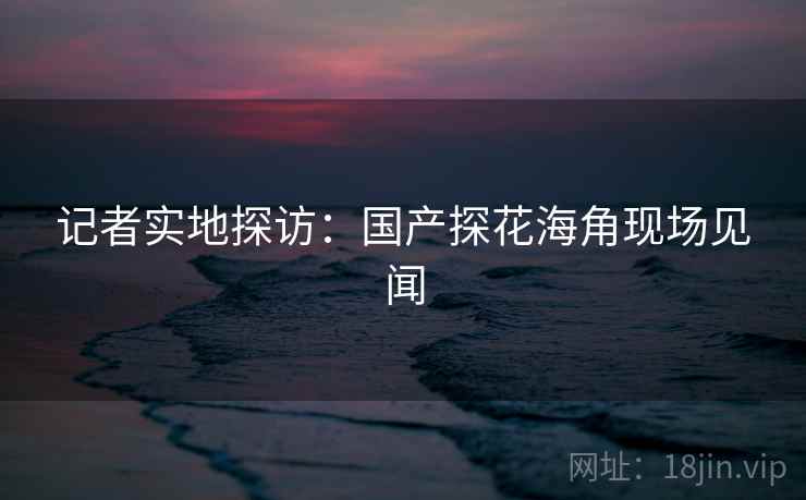 记者实地探访：国产探花海角现场见闻