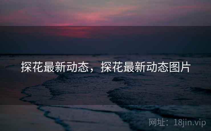探花最新动态,探花最新动态图片