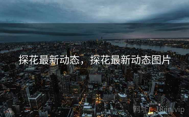 探花最新动态,探花最新动态图片 探花最新动态,探花最新动态图片