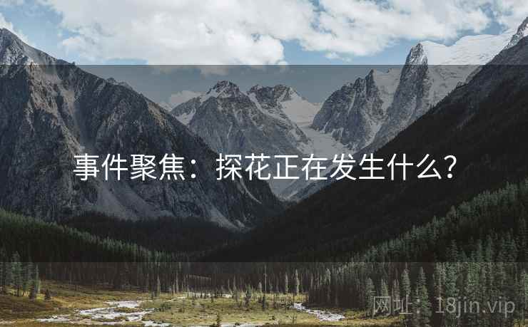 事件聚焦:探花正在发生什么? 事件聚焦:探花正在发生什么?