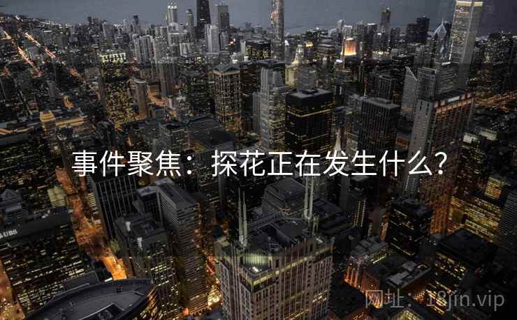 事件聚焦:探花正在发生什么?