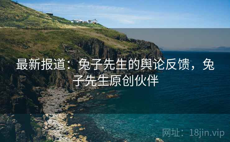 最新报道:兔子先生的舆论反馈,兔子先生原创伙伴