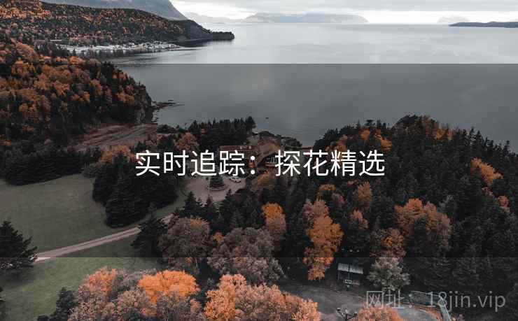 实时追踪:探花精选 实时追踪:探花精选
