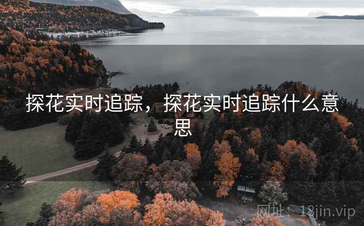 探花实时追踪,探花实时追踪什么意思 探花实时追踪,探花实时追踪什么意思