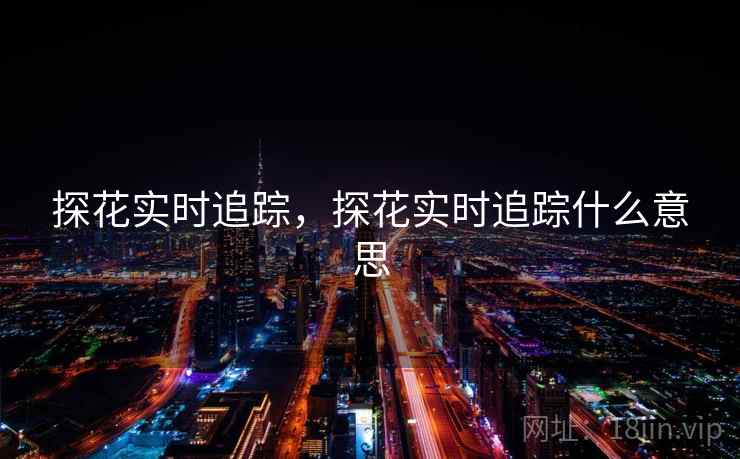 探花实时追踪,探花实时追踪什么意思