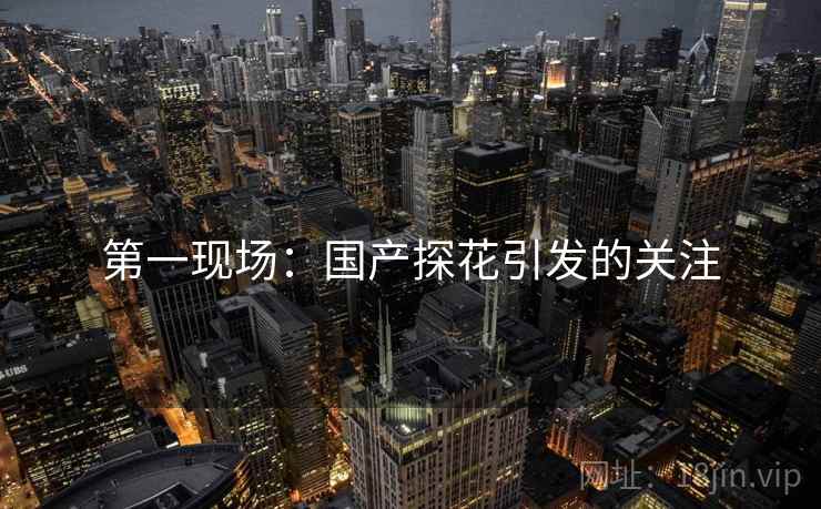 第一现场：国产探花引发的关注