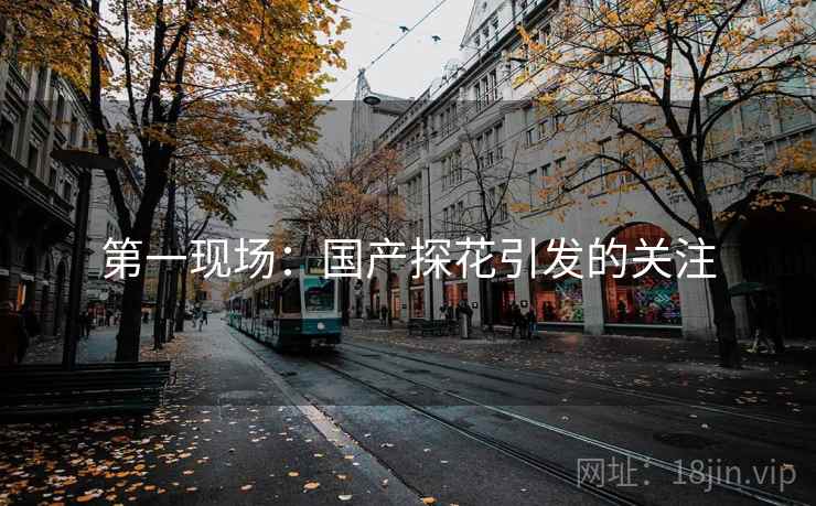 第一现场：国产探花引发的关注