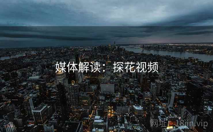 媒体解读:探花视频