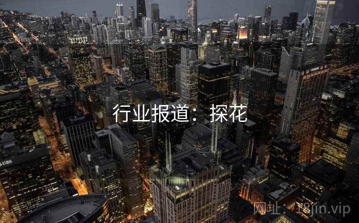 行业报道:探花