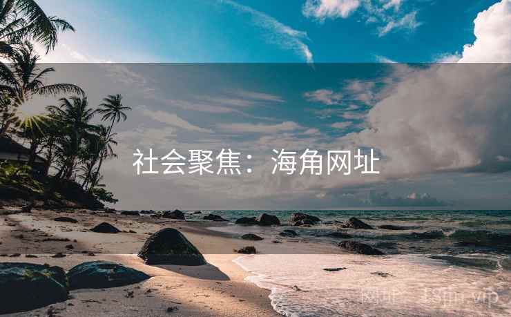 社会聚焦:海角网址