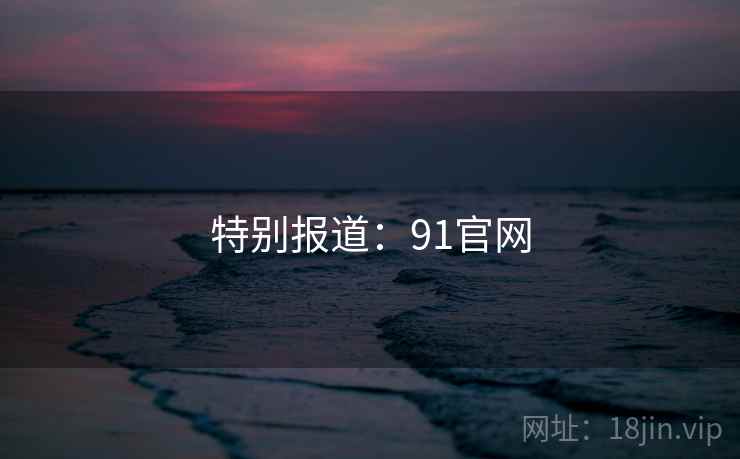 特别报道:91官网