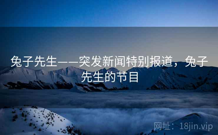 兔子先生——突发新闻特别报道,兔子先生的节目