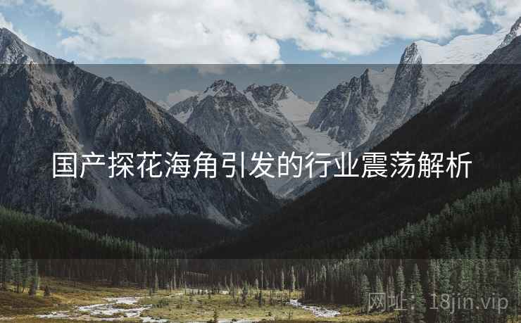 国产探花海角引发的行业震荡解析