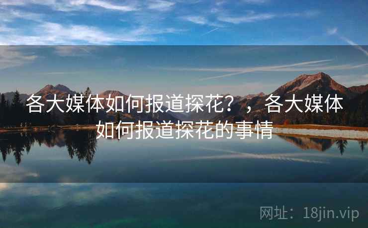 各大媒体如何报道探花?,各大媒体如何报道探花的事情
